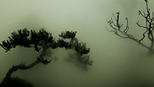 Wu Chi Tsung, Landscape in the Mist