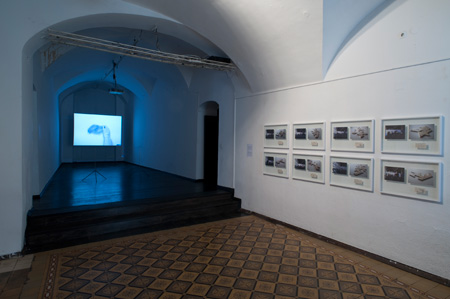 Pogled na postavitev razstave Osebno v Galeriji Škuc, foto: Dejan Habicht