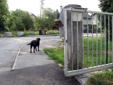 Marija Mojca Pungerčar, Time for a Walk