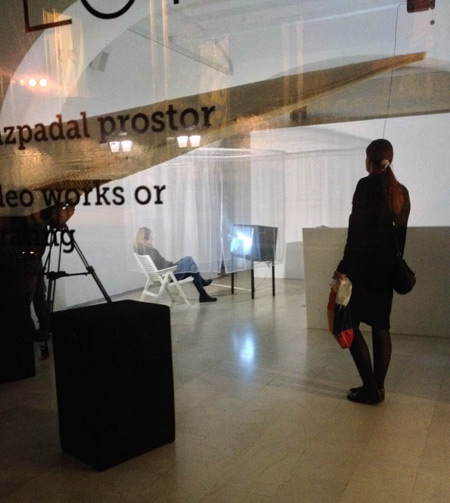 Proximity Effect, exhibition opening at Vžigalica gallery. Photo: Scca-Ljubljana archive