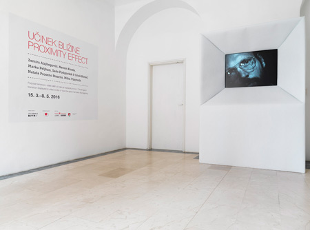 Proximity Effect, exhibition view. Photo: Matevž Paternoster / MGML.