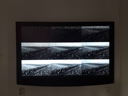 Jasna Hribernik, Nataša Prosenc Stearns: Migrating Frame