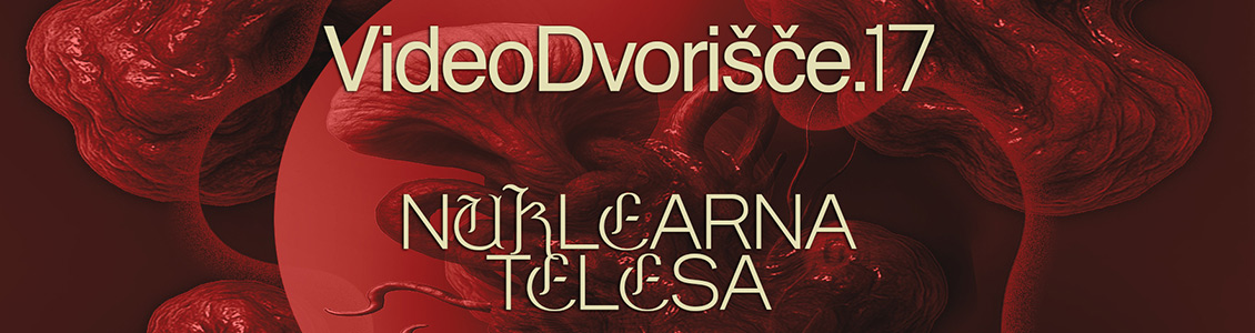 VideoDvorišče.17: Nuklearna telesa