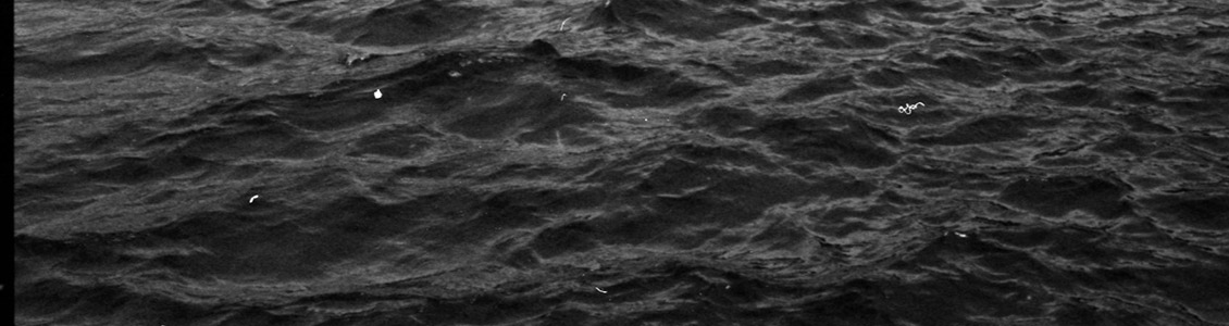 Tereza Kozinc: How to photograph the wind?